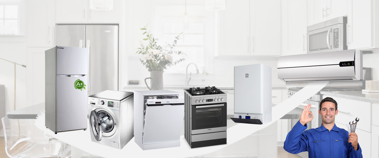 Çameli Smeg Servisi